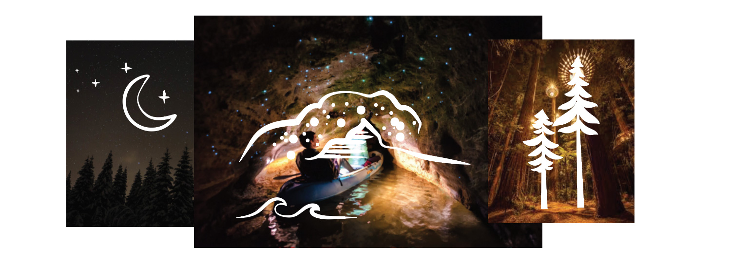 Taiuao Adventures Logo Design Rotorua Nighttime References