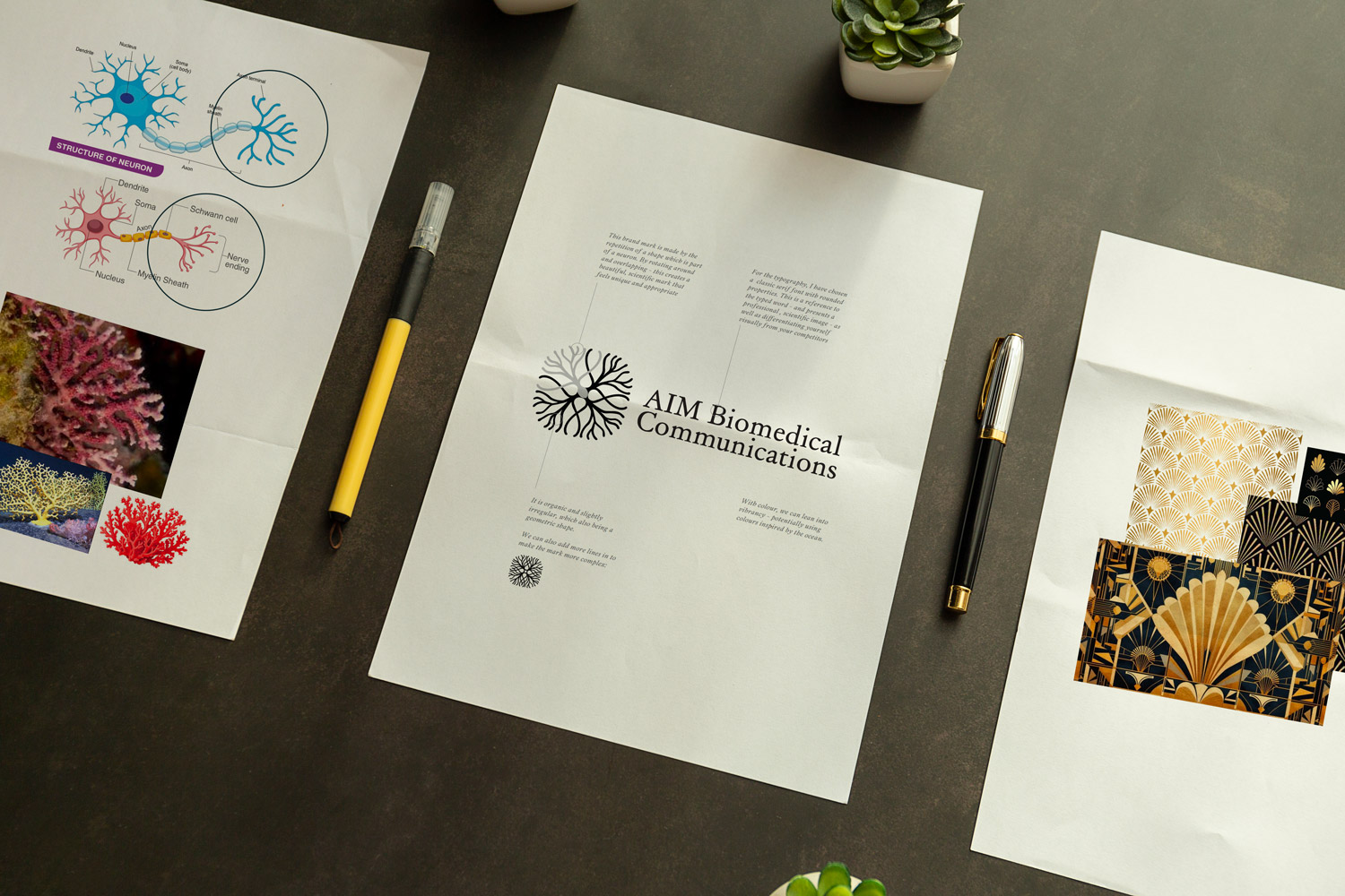 Aim Biomedical Writer Logo Redesign References Branding Envy Web Design